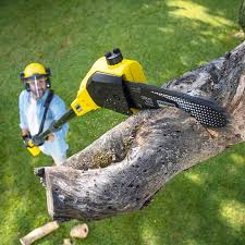 Lawn Watering Services in Metamora, IL